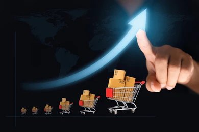 e-commerce development in Panchkula