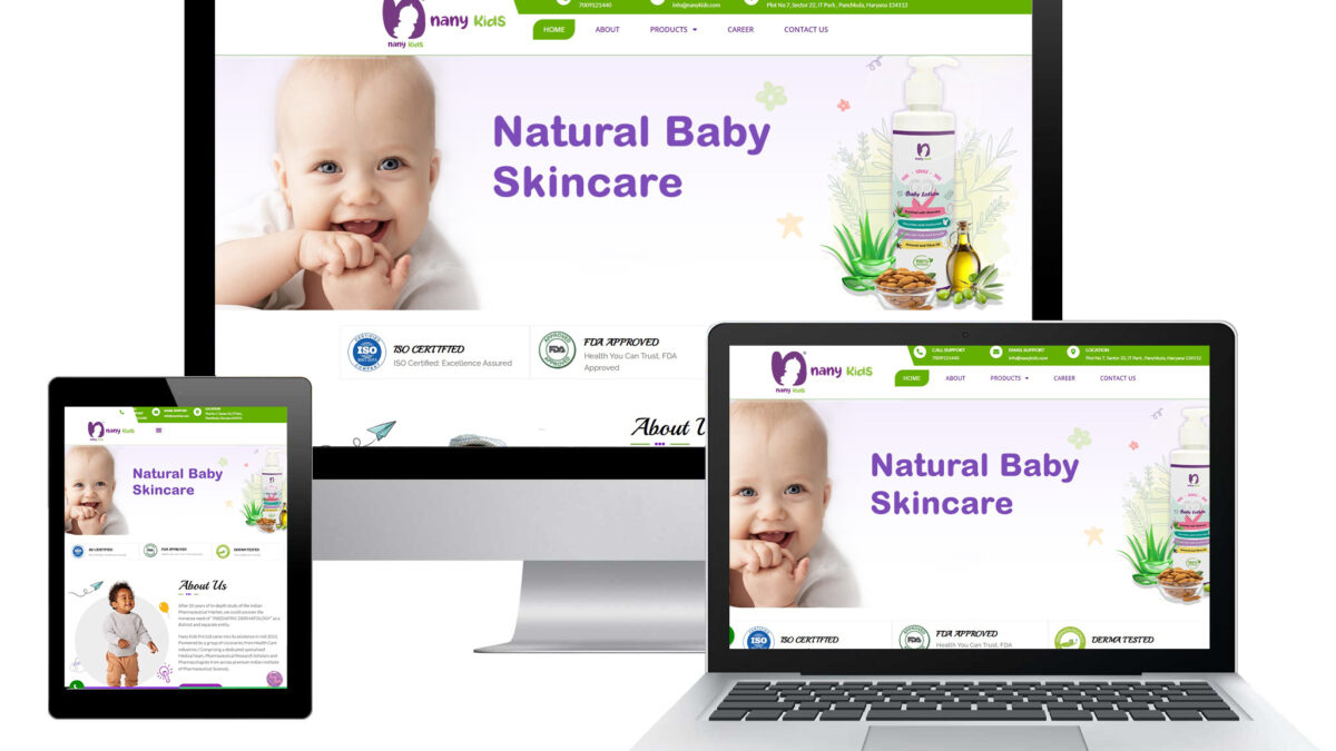 Best Web Development Company in Panchkula