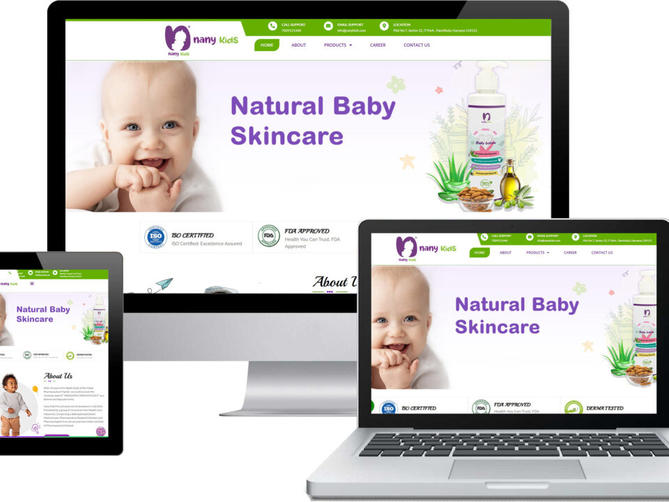 Best Web Development Company in Panchkula
